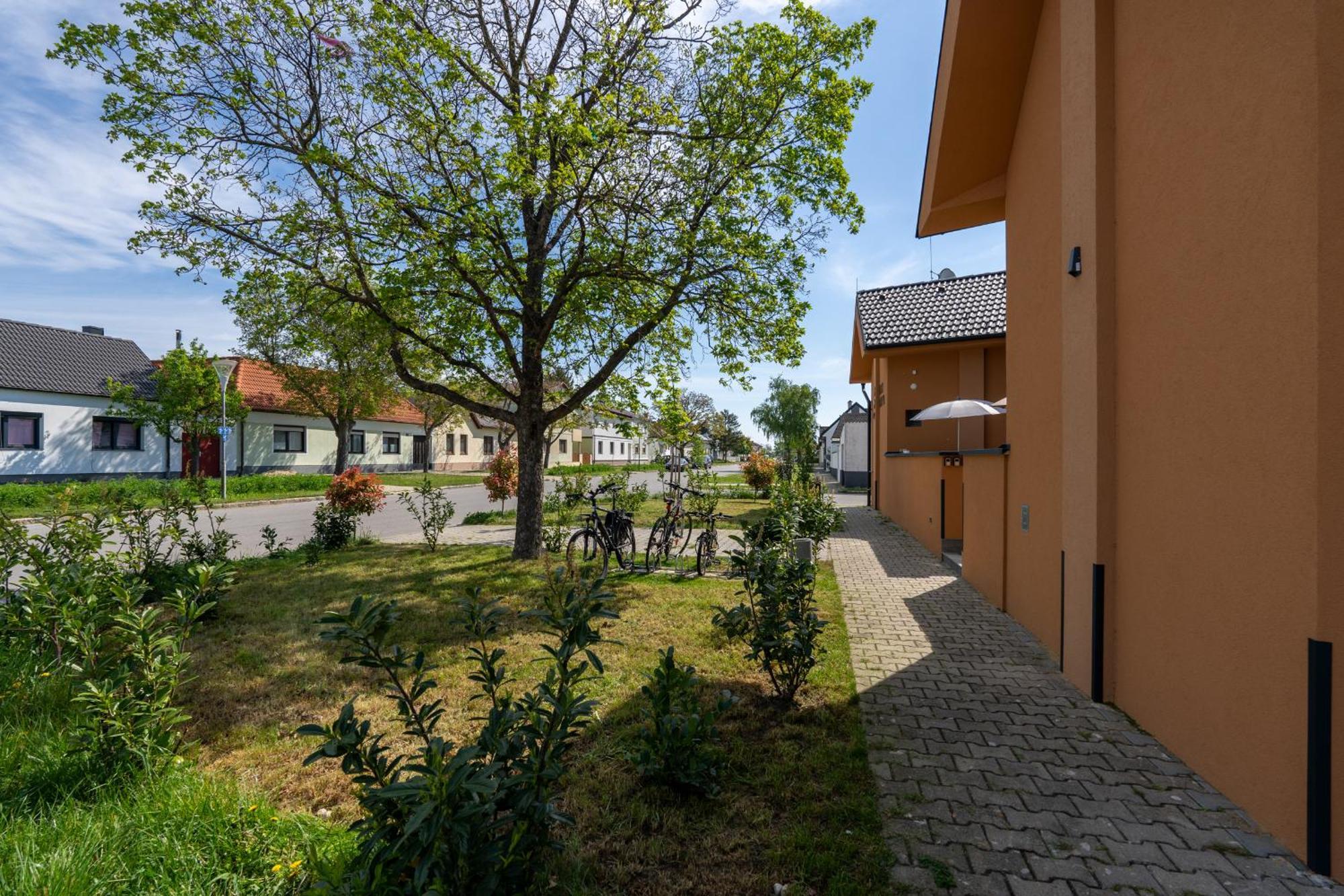 Pension Pannonia พาร์นดอร์ฟ ภายนอก รูปภาพ